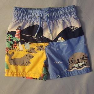 Seals on the beach baby boy swim trunks 18 months